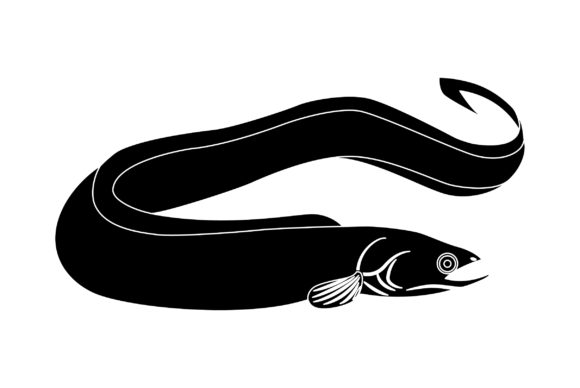 Eel Vector Design Solid Color: A Versatile Asset for Modern Projects