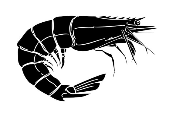 Shrimp Vector Design Solid Color: A Creative Asset